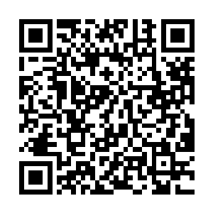 她应该看得出来孟兆宣那种人不是什么好惹的角色吧二维码生成