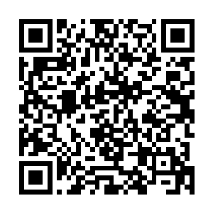 她开始盘算起这趟出门的收获――其实也没什么可盘算的二维码生成