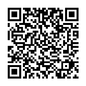 她开始觉得自己对这位铲shi官的评价有些先入为主了二维码生成