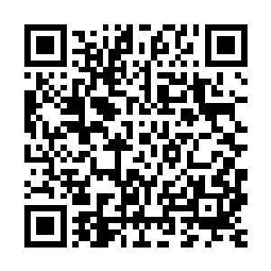 她强硬在卢八娘把所有的锦缎都卖出去的时候把这一匹收了起来二维码生成