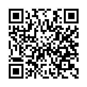 她当然不会去和同样是圣级四层的石族二维码生成