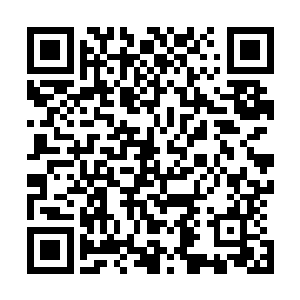 她当然不相信自己的丈夫会突然从一名小记者一跃成为市委二维码生成