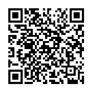 她当然知道叶凡的那些布局会给洒河造成什么样的影响二维码生成