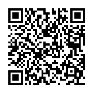 她很享受这样的生活……长久的欢愉已经将基因中关于二维码生成