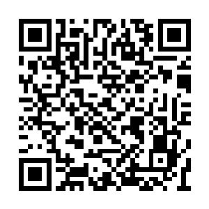 她很小的时候便听大人们说起过黑暗公会的可怕二维码生成