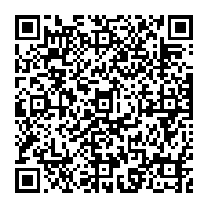 她很少像现在这样深刻地感觉到自己不过是造星流水线上的一个产品――虽然享有名气的是珍妮弗二维码生成