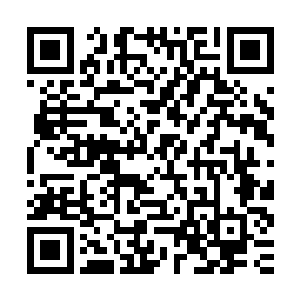 她很快发现野泽香惠子抓住自己收的时候比自己更加的用力许多二维码生成