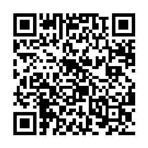 她很想了解这个家伙有什么三头六臂还是九窍玲珑心二维码生成