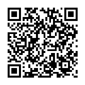 她很想抓着小东西问问到底是才是你的主人啊喂二维码生成