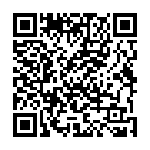 她心中也知道堕落一族不可能就这么被这十二柄仙剑吓住二维码生成