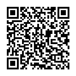她必定会不顾后悔将紫晴和百里尾生的秘密公布于众二维码生成