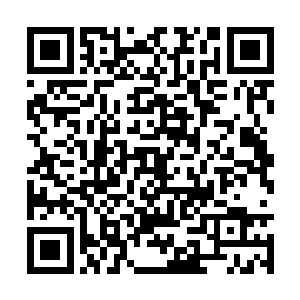 她必须在最短的时间内令龙野的修士心中产生恐惧二维码生成