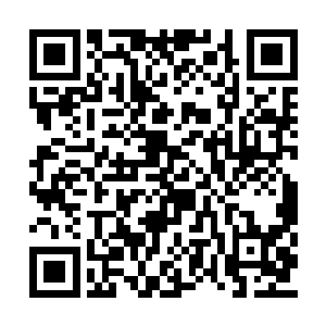 她忽然上前将这个美到不可思议的人儿紧紧抱着二维码生成