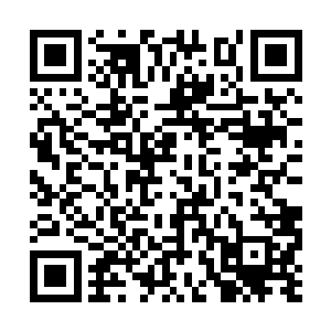 她怎么也没办法同时准确的抓到四个人拿枪的手啊二维码生成