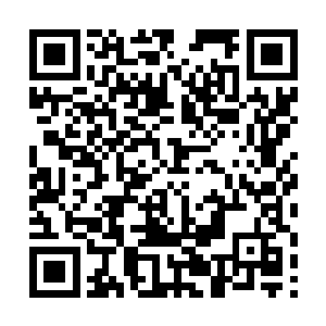 她怎么会不知道吴虎臣这个坏家伙是故意逗自己的呢二维码生成