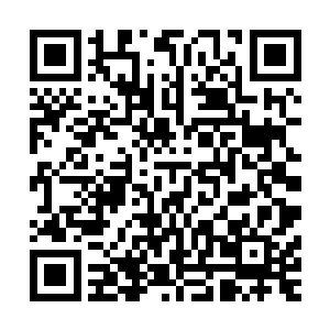 她怎么可以那么天真的以为碑林存在的意义就是为了控制梓冰二维码生成