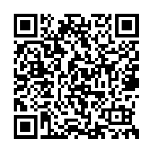 她怎么可能不知道这家伙在穷嘚瑟自己的强壮呢二维码生成