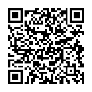 她怎么可能只单单是一个小小的身份低微寻常的婢女二维码生成