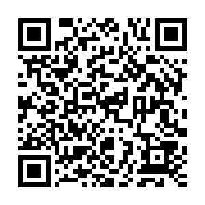 她怎么敢……这么堂而皇之的毫不犹豫的杀掉朝廷的有功之臣二维码生成