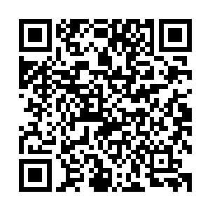她怎么能像是一只小动物似的跪在地上紧紧的抱着男人的大腿二维码生成