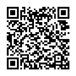 她总是会下意识地回想起当时那个家伙在餐厅里弹唱时候的样子二维码生成
