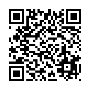 她总是这副无辜而有些木讷的神态二维码生成