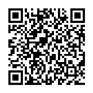 她总觉得她可以和陆卿破镜重圆……可是妈你知道吗二维码生成