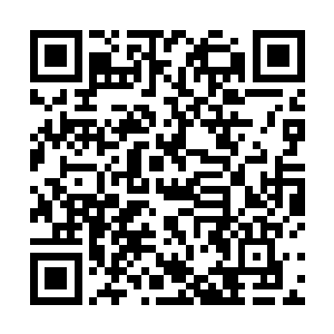 她恐怕就真的挂了……问题是她挂了用的不是复活卷轴二维码生成
