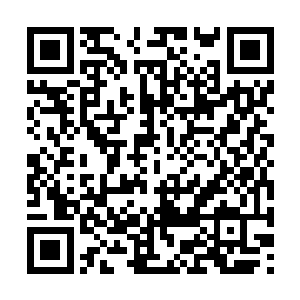 她想要代替晏老太太和小虞氏打理晏家的大小事务二维码生成