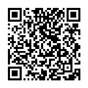 她想要以一己之力完全承担三十万年神界战争的因果又怎么可能二维码生成