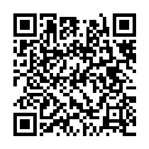 她想要撮合乌灵和龙野的心思也被这眼泪给浇灭了二维码生成