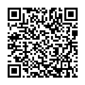 她想要看看深处是不是会碰到一缕仙王气之类的东西二维码生成