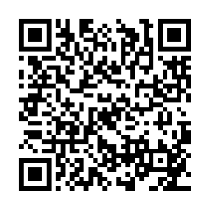 她感应到了上一次任务中才有的对天地力量的感知二维码生成