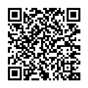 她感觉到范筱梵体内的佛像不会那么轻易地就对巨龙俯首称臣的二维码生成
