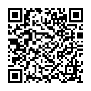 她感觉朵丽公主的舞蹈也就最多街头卖艺的水平二维码生成