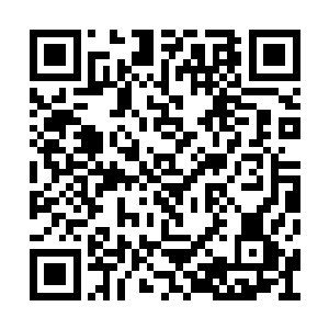 她感觉的到秦洛的视线在她的左手上停留的太久二维码生成