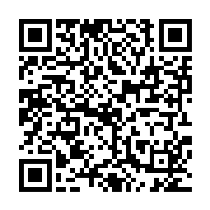 她感觉要趁着其他人还没考完试赶紧把星瞳的事情要处理好二维码生成