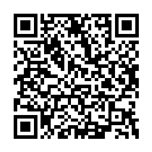 她感觉这家伙才是真正害死人不偿命那种角色呢二维码生成