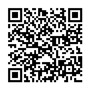 她成功将太子引出了宇文寒跟其他几个大能的保护范围二维码生成