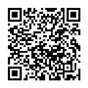 她手中不知道什么时候多出的一把船桨一样的铁棍兵器二维码生成