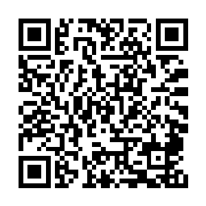 她手捏着的茶杯碎片什么时候刺入皮肉都不知道二维码生成