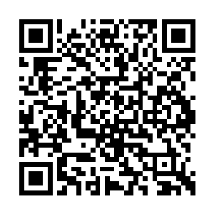 她手里的好东西多半都是从那波斯奇人处得到的二维码生成