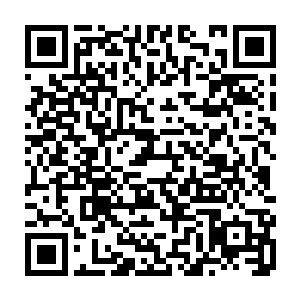 她才不会因为这个世俗的皇帝承诺的荣华富贵而傻戳戳的在这里虚耗生命值呢二维码生成