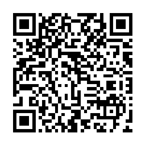 她才不昔动用家中老爷要用来打点关系的银两买一这盒子美玉二维码生成