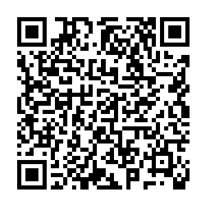 她才意识到她被加速逃窜的那辆黑色机动车抢走了香奈儿限量版包包二维码生成