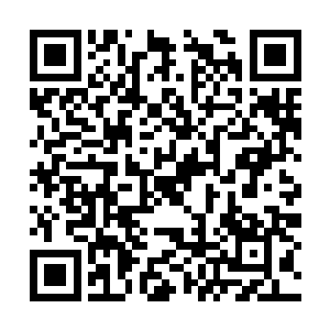 她才明白沈肃拿到九凤令后说的那句话是什么意思二维码生成