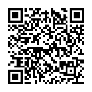 她才明知道你干的是违法的事情还这么卖力地帮你二维码生成