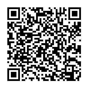 她才突然想起自己忘了去看那个阴晦地波动着阴暗气息的修士究竟是是什么修为二维码生成