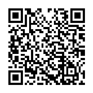 她扑捉的冰灵可以多一些了腐烂国度之活下去全文阅读二维码生成