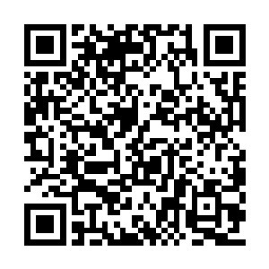 她把一个一英寸左右的小贝壳放到了杜克的手里二维码生成